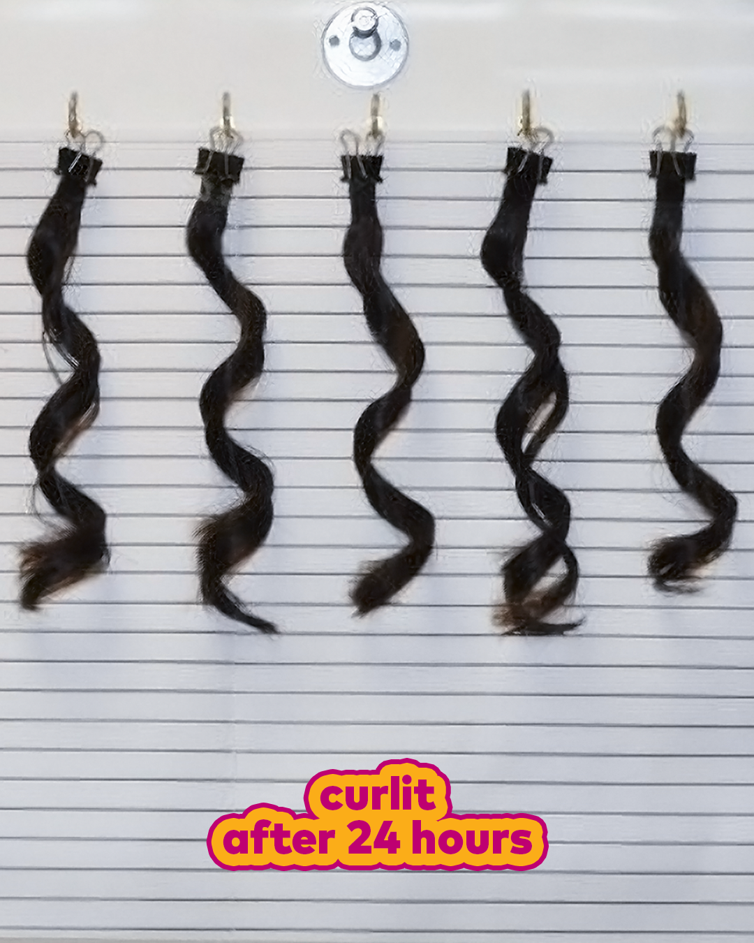 curlit after 24 hours